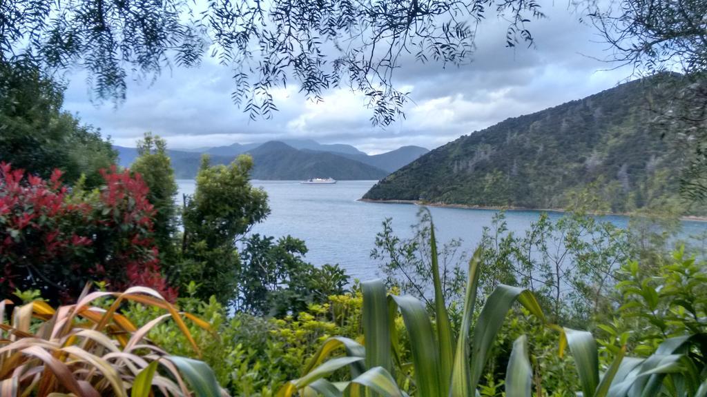 A Sea View B&B Picton Zimmer foto