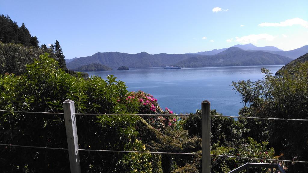 A Sea View B&B Picton Zimmer foto